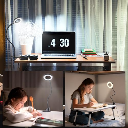 Eco-Friendly Woputne Desk Lamp Clip Light, 10 Dimmable Brightness Set