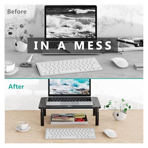 Eco-Friendly WALI Computer Monitor Stand for Desk, Adjustable Laptop Riser, Desk Collection