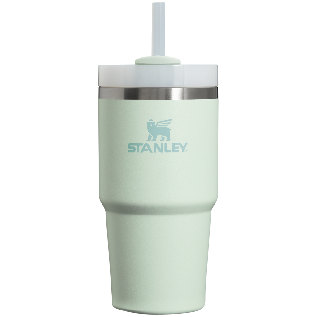 Large Capacity The Quencher H2.0 Flowstate Tumbler D030T - Premium Stainless Steel Straw Cup for All-Day Hydration - Mist