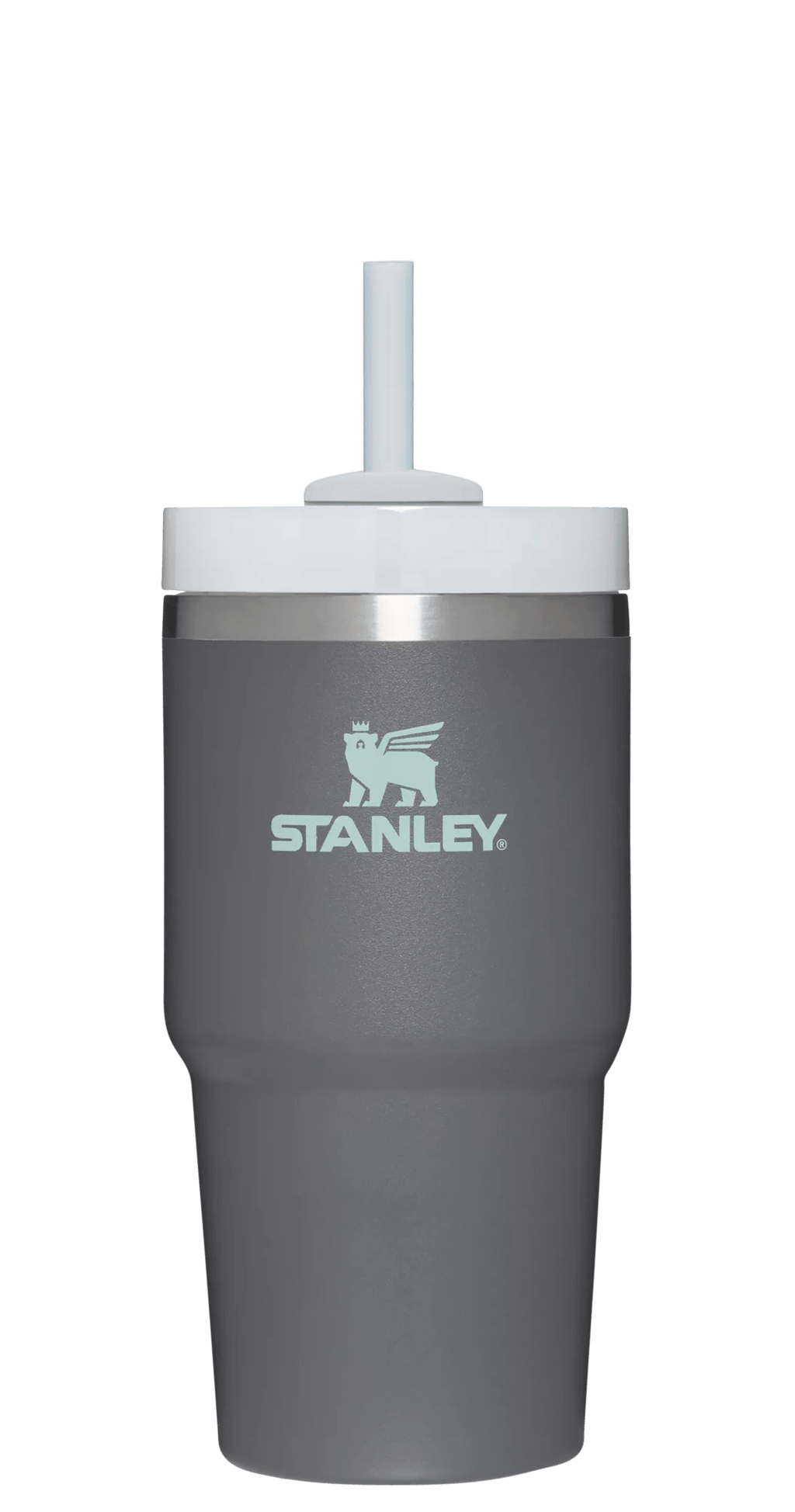 Large Capacity The Quencher H2.0 Flowstate Tumbler D030T - Premium Stainless Steel Straw Cup for All-Day Hydration Detail